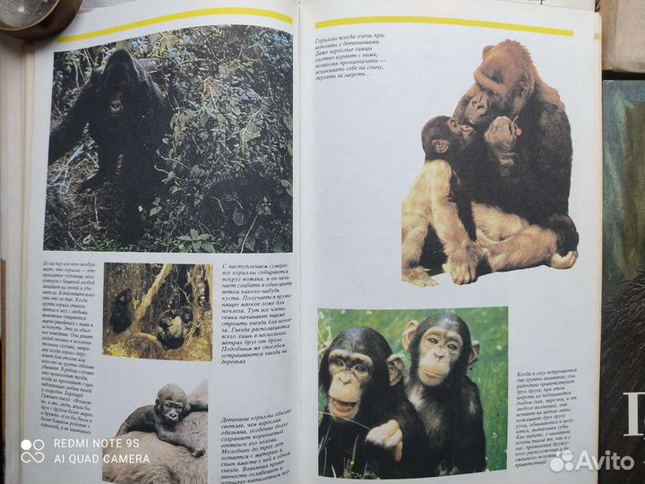 Книги о животных