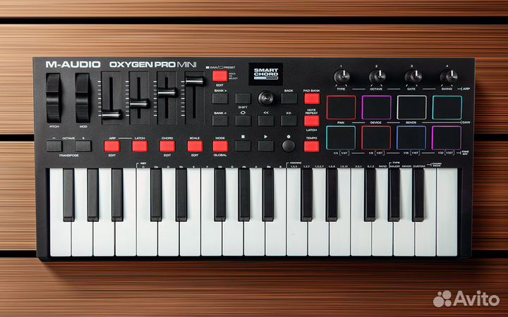 M-Audio Oxygen PRO mini