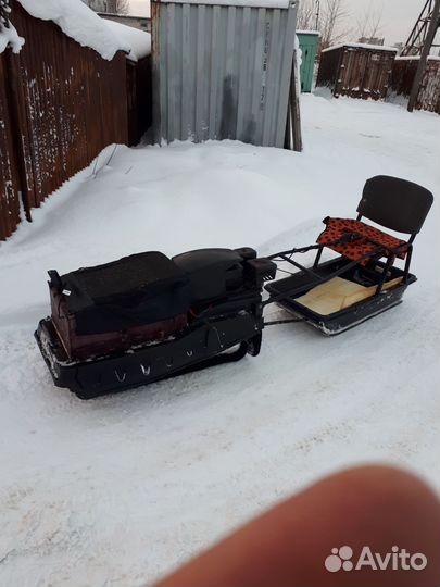 Мото собака