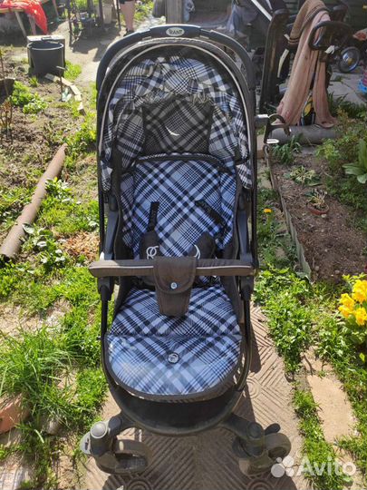 Коляска прогулочная rant jazz trends