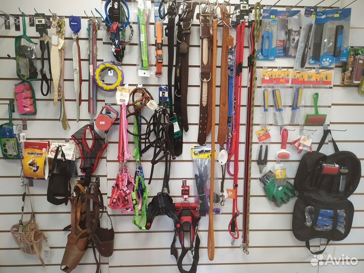 Шлейка, поводок, ошейник, намордник