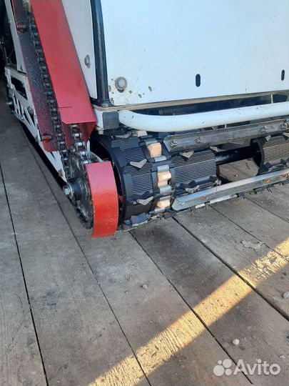 Мото собака