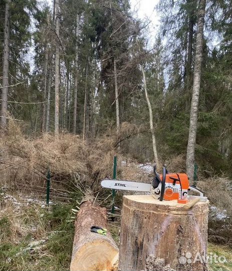 Спил Валка деревьев Обрезка веток Дробление пней