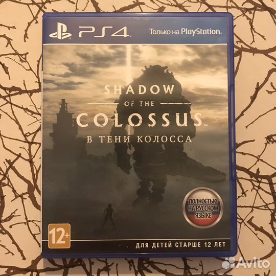 Shadow of the colossus