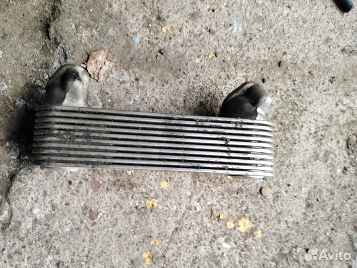 51056010148 Радиатор масляный ман тга