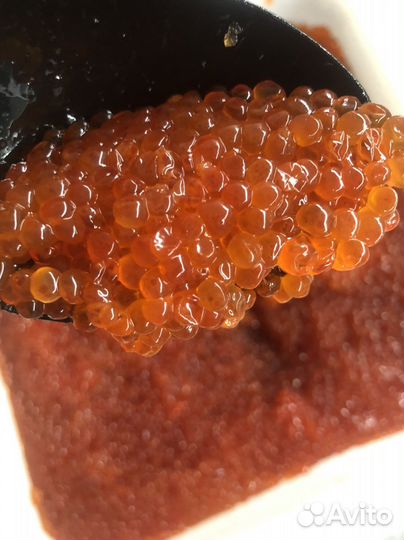 Красная икра, Камчатка, 2023