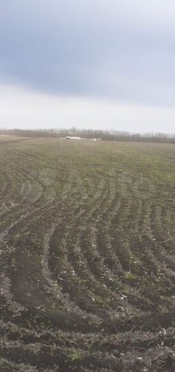 Участок 2,45 га (СНТ, ДНП)