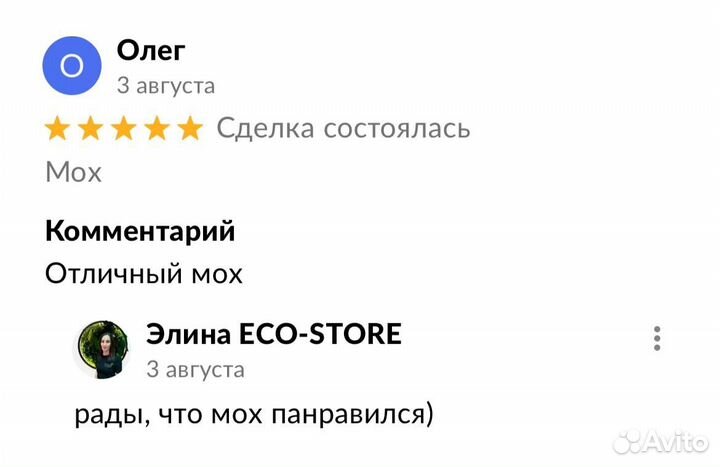 Фитопанно из мха на выставку и в офис