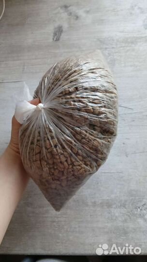 Корм для собак