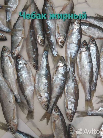 Вяленая рыба судак