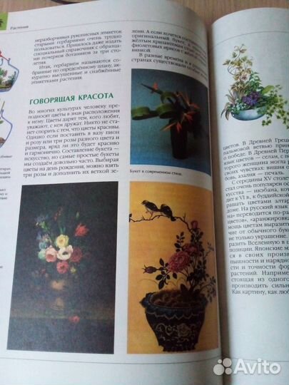 Детская энциклопедия Биология