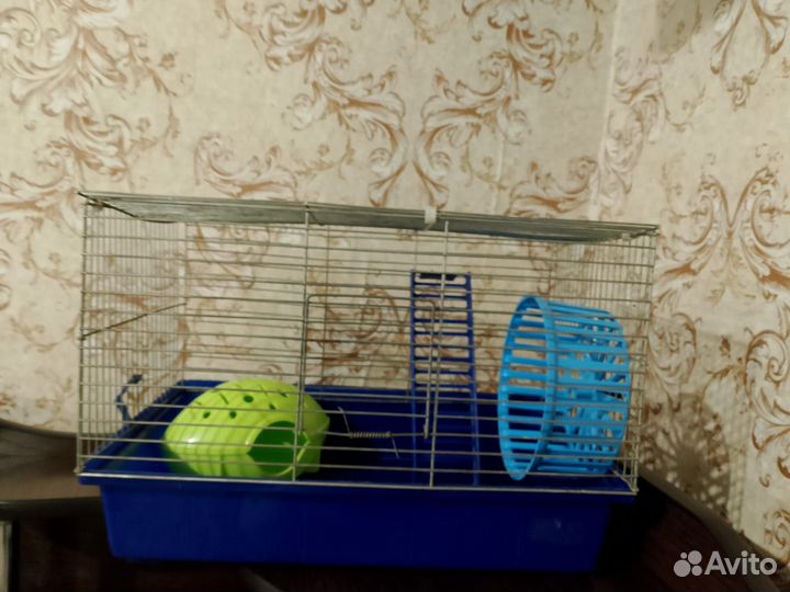 Клетка для грызунов бу