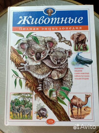 Пираты Карибского моря, Детские энциклопедии