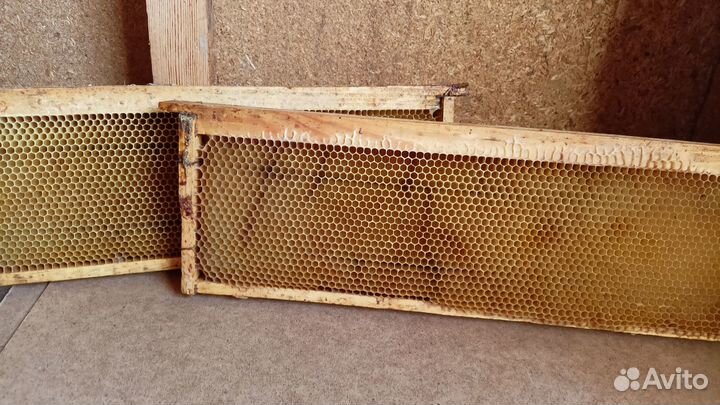 Ульи, сушь для пчел