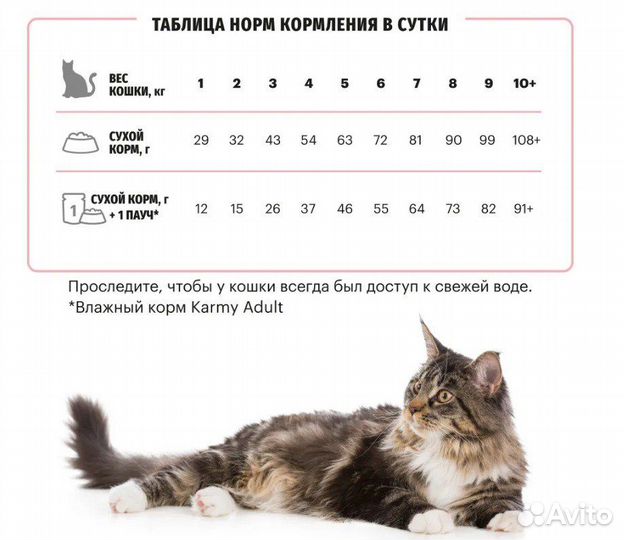 Сухой корм для кошек karmy Delicious 10 кг.с Индей