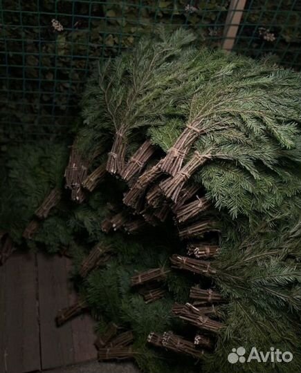 Веники для бани пихтовые (и многое другое)