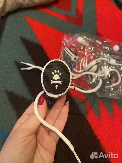 Кеды для собак