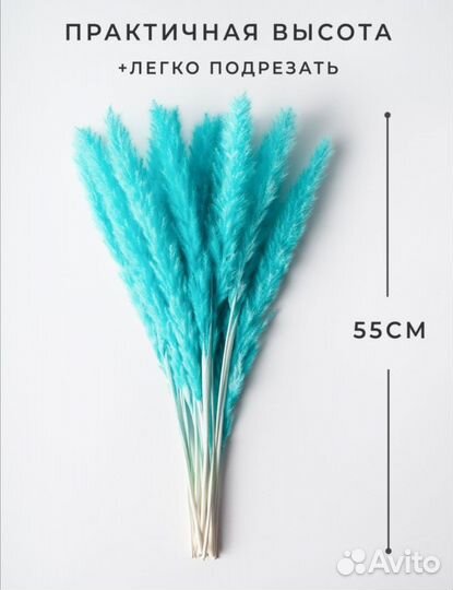 Кортадерия стабилизированная