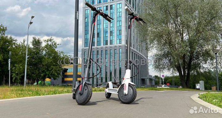 Самокат xiaomi m365 pro