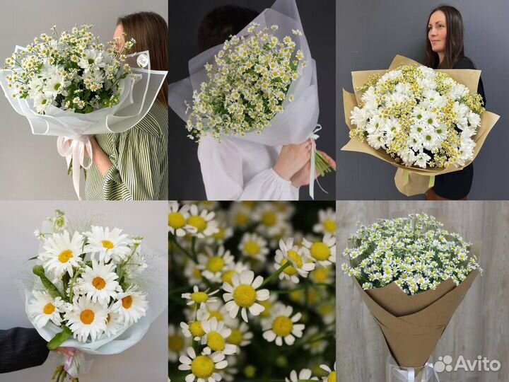 Розы / Гвоздики / Хризантемы / Ромашка