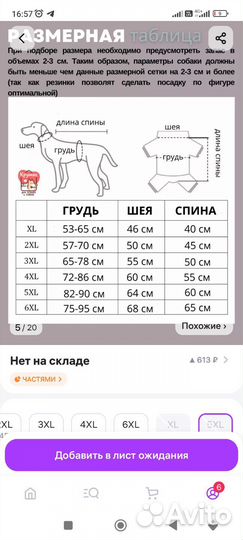 Комбинезон для собаки средней породы