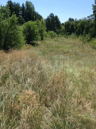 Участок 13 сот. (ИЖС)