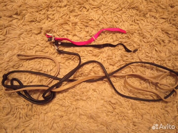 Одежда для маленьких собачек