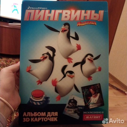 Пингвины мадагаскара