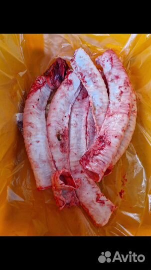 Мясо для собак,говяжьи субпродукты