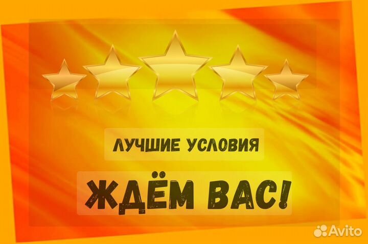 Продавец-кассир Гарантии выплат Бесплатная форма