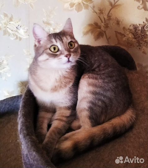 Суперская девочка