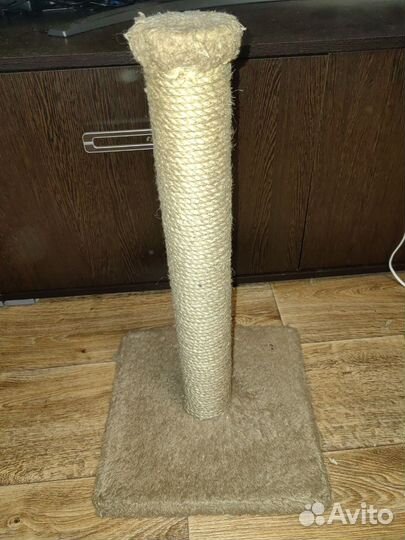 Когтеточка