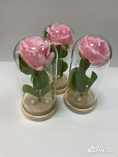 Роза в колбе