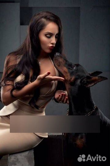 Фотосессия с доберманом