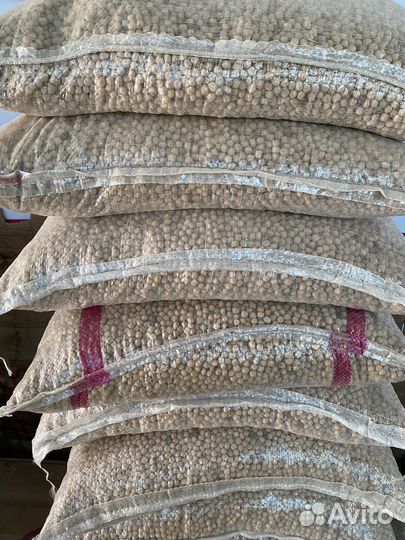 Горох кормовой