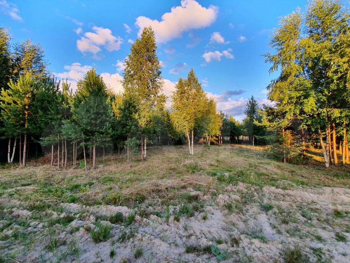 Участок 39,1 сот. (СНТ, ДНП)