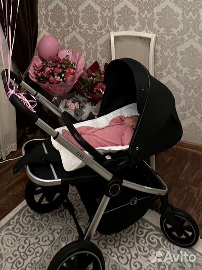 Коляска rant flex