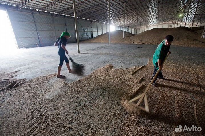 Разнорабочий от 30 смен. Всё включено. Вахта