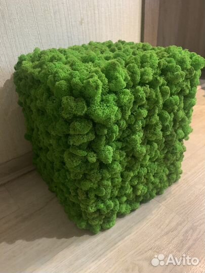 Панно из мха 0,35х0,6