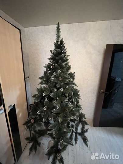 Новые елки (ель сосна ) в наличии