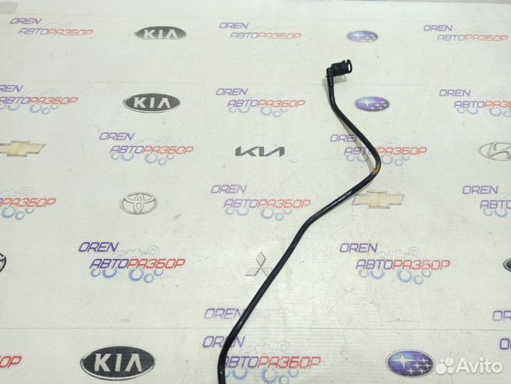 Трубка топливная Renault Duster 2.0 F4RA400 2013