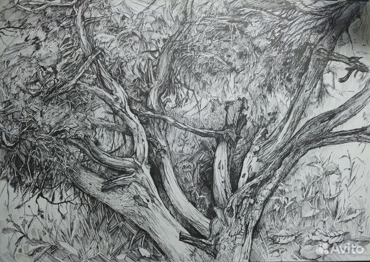 Картина графика