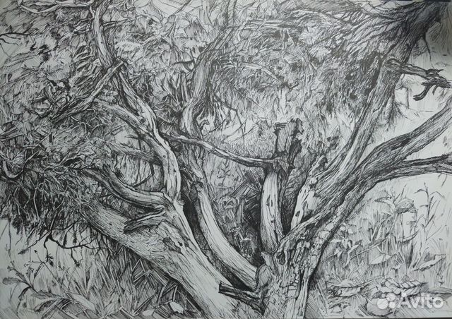 Картина графика