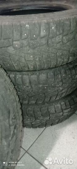 Nexen Winguard 175/70 R13