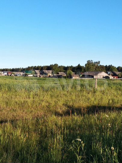 Участок 15 сот. (ИЖС)