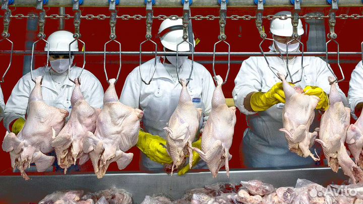 Разнорабочий