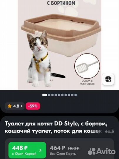 Лоток/туалет для котят