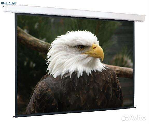 Экран ScreenMedia SCM-4303, 203x153 с электроприво