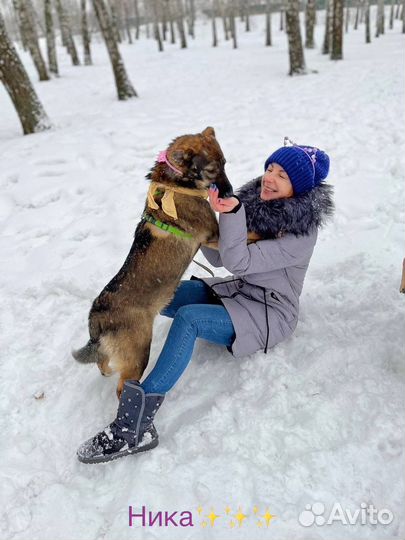 Щенок в добрые руки отдам бесплатно