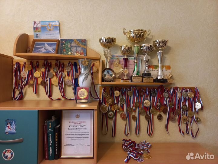 Тренер по шахматам